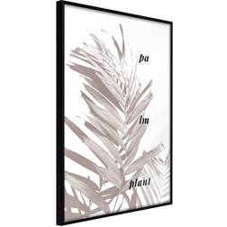 Arkiio Affisch Palm Plant [Poster] 40x60 Poster